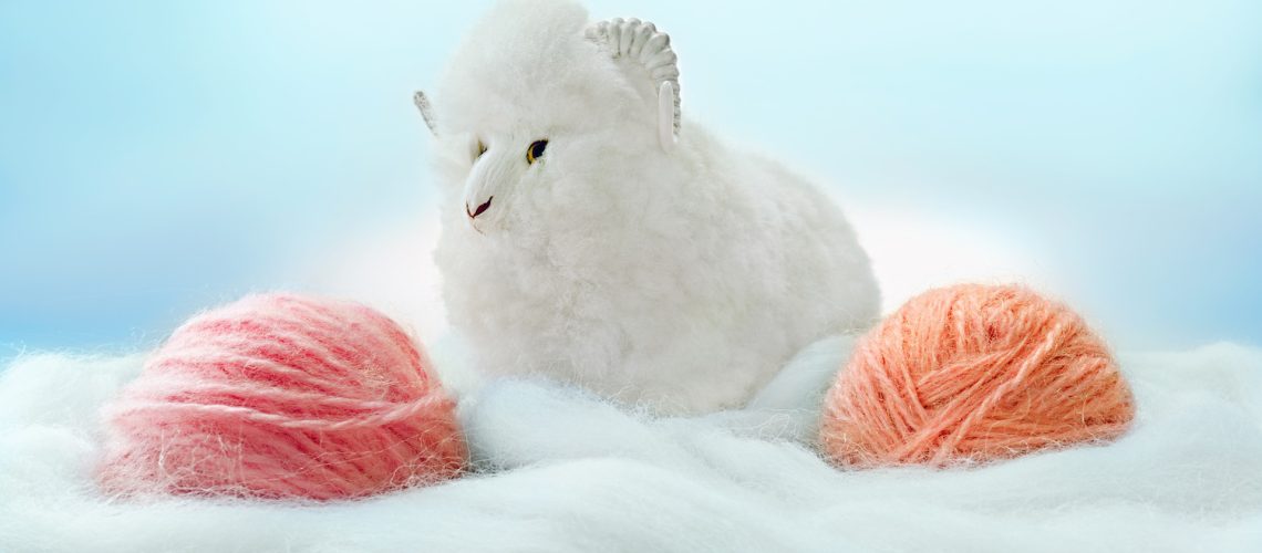 Two balls of wool yarn and a wool sheep on a background of white wool. The concept of creativity, home entertainment, needlework.